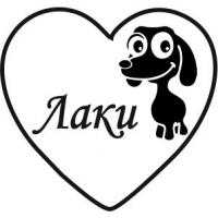 Виріб Адресники для тварин варіант 10